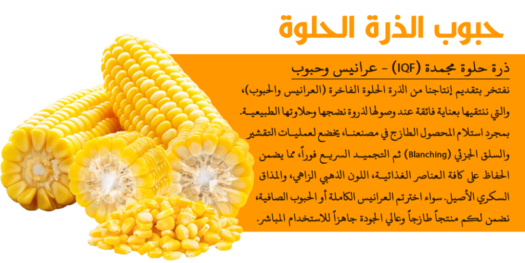 الرئيسية ذرة حلوه1