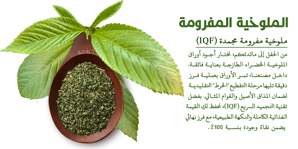 الرئيسية ملوخية مفرومه1